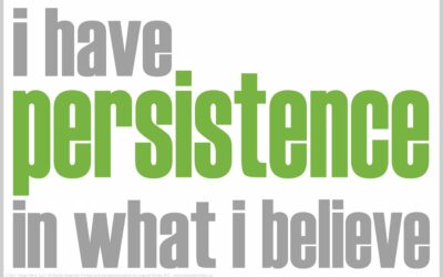 SEL Discussion Resource: I HAVE PERSISTENCE IN WHAT I BELIEVE