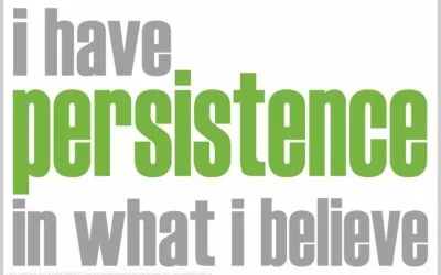 SEL Discussion Resource: I HAVE PERSISTENCE IN WHAT I BELIEVE